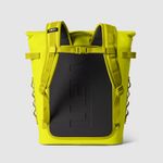 HOPPER BACKPACK M20 back.jpg