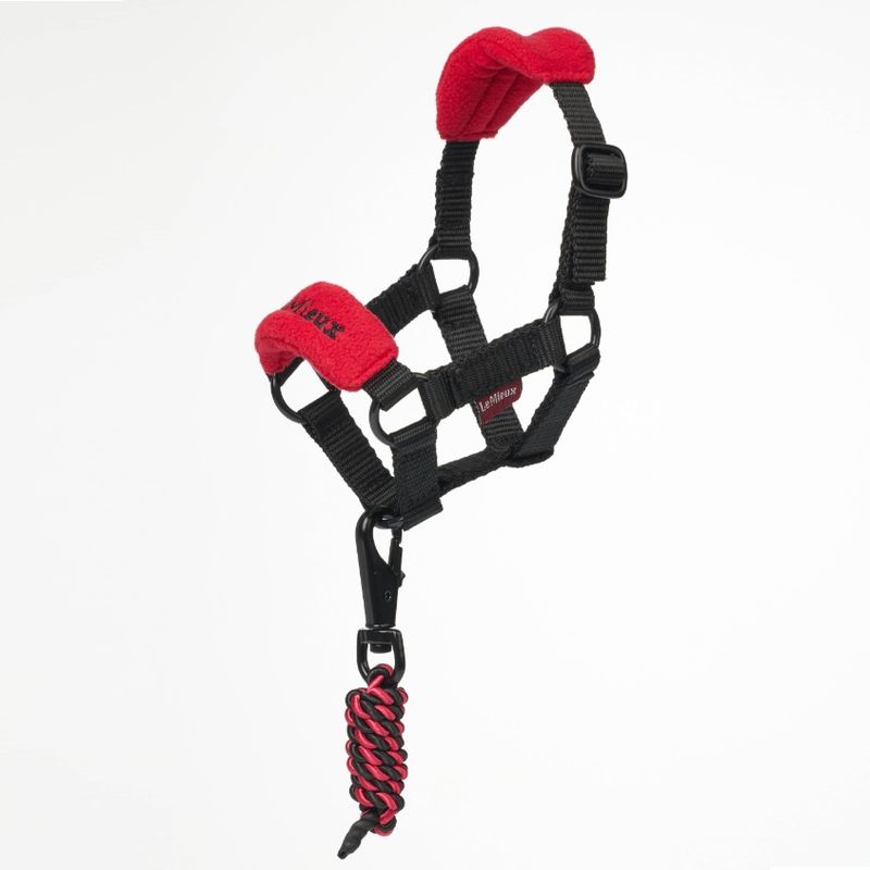 LeMieux IT03932001 a.jpg