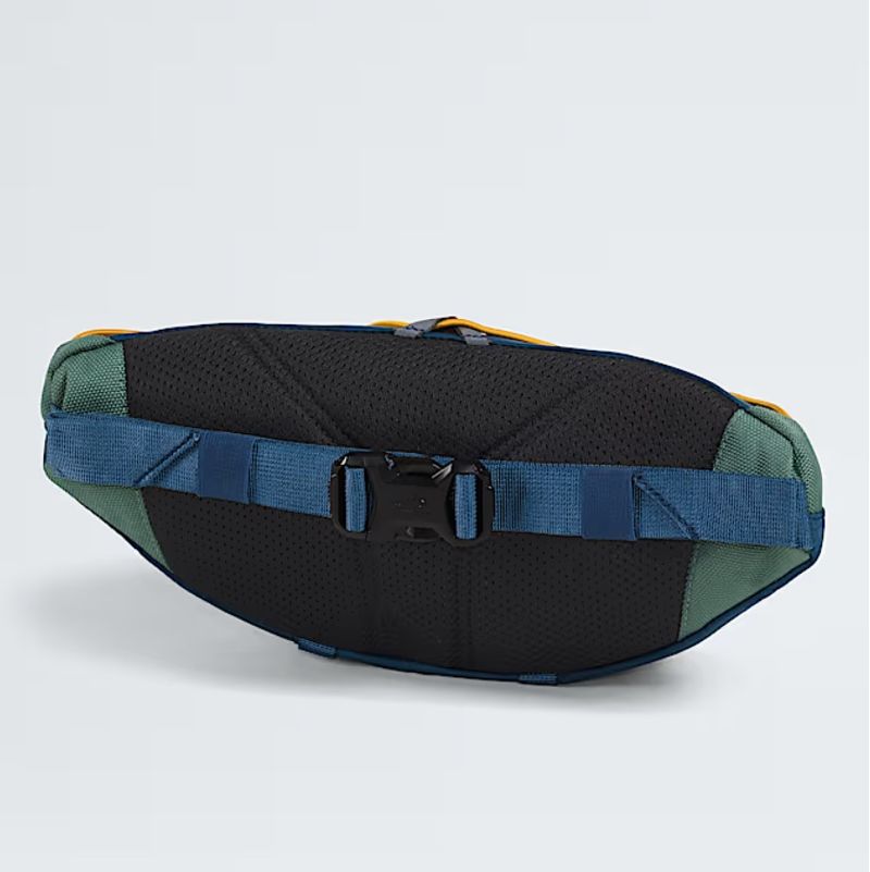 TNF NF0A81EO-BI0 b.jpg