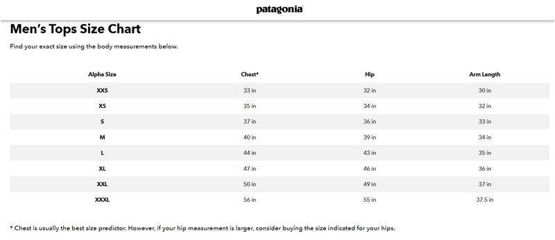 SC-Patagonia-Mens-Tops.jpg