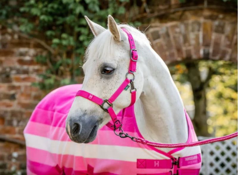 Horseware-DHHX11-pink-b.jpg