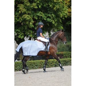 Bucas Buzz-Off Riding - Silver / Blue