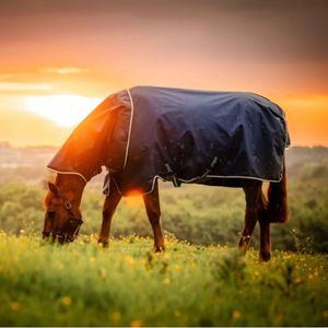 Amigo Ripstop 900D 0g Pony Plus Rain Sheet - Witney Navy