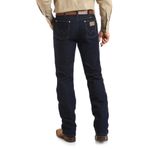 Wrangler-1013MAFPW-b.jpg