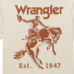 Wrangler-112361844-b.jpg