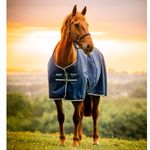 amigo-900d-ripstop-standard-200g-witney-navy