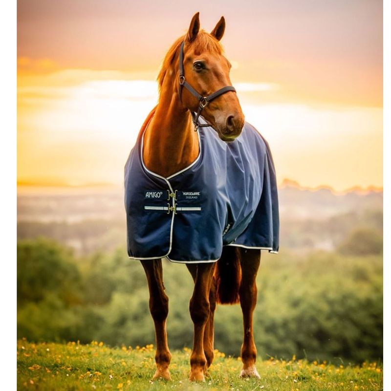 amigo-900d-ripstop-standard-200g-witney-navy