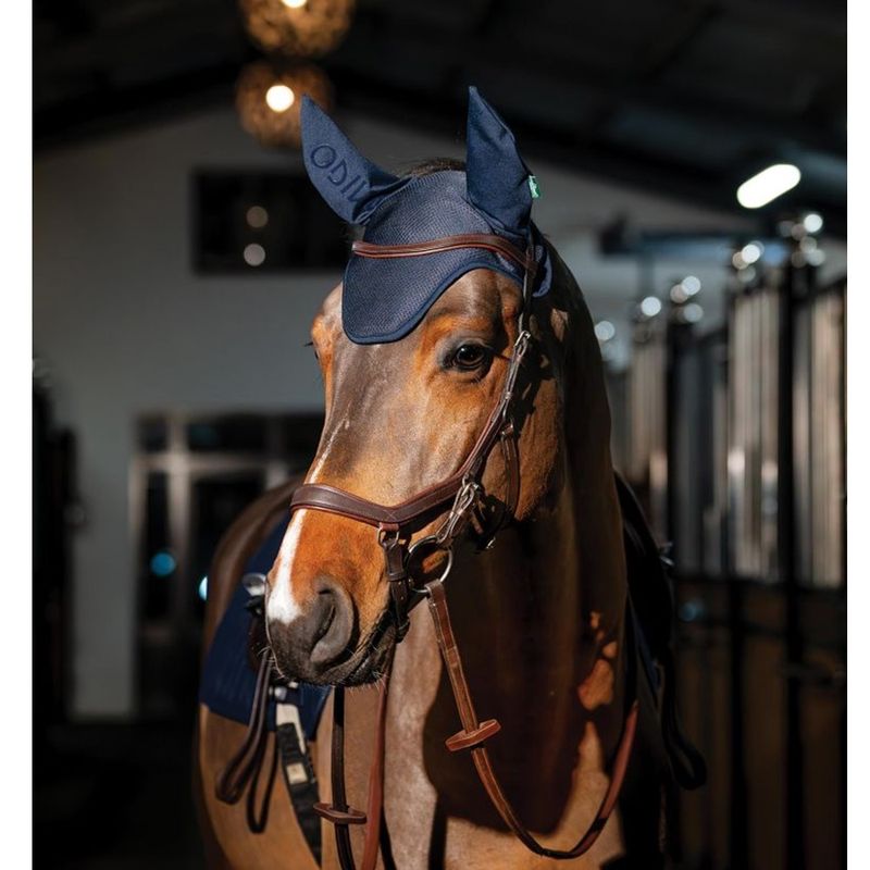 amigo-ear-net-navy