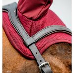 amigo-ear-net-mulberry-2