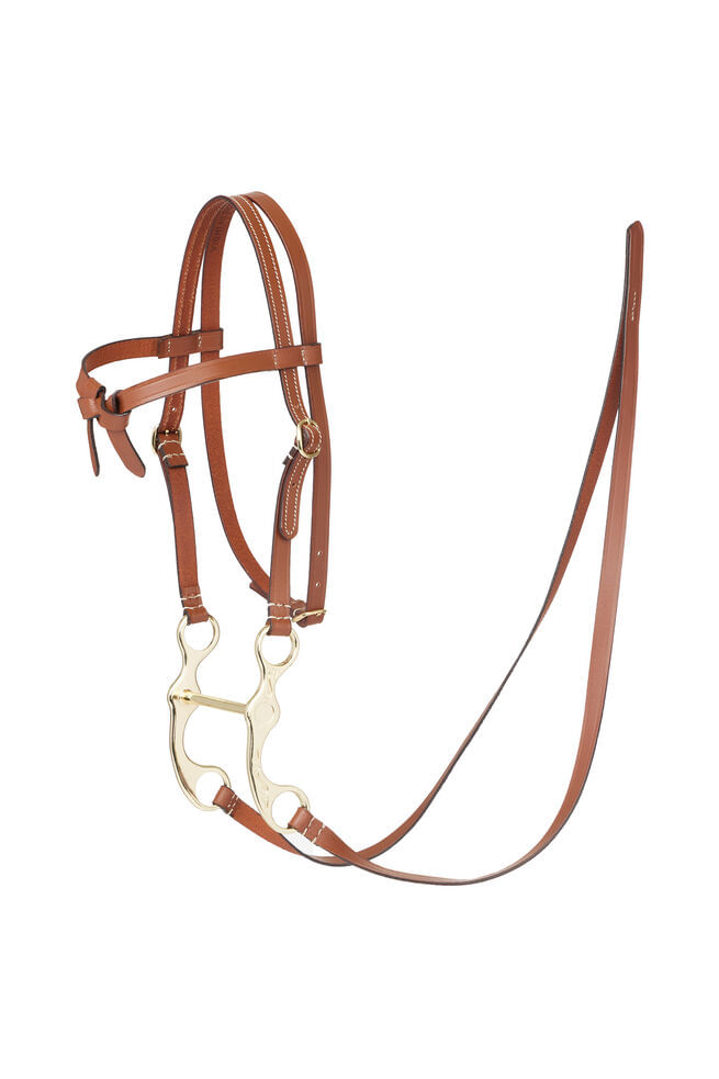 western bridlehobbyhorse.jpg