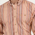 Wrangler-112359952-b.jpg