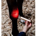 horseware-led-therapy-wand-3