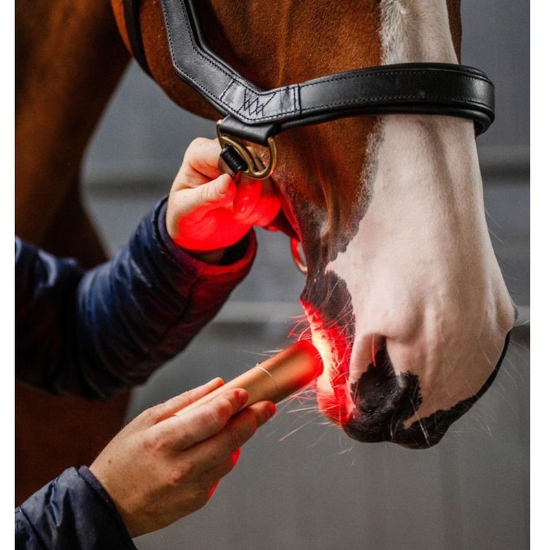 horseware-led-therapy-wand-4