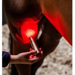 horseware-led-therapy-wand-7