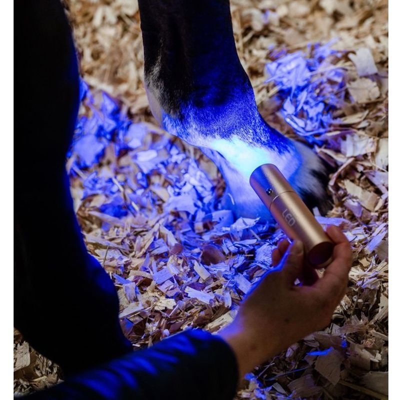 horseware-led-therapy-wand-8