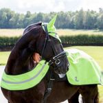 horze-reflective-harness-2