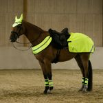 horze-reflective-harness-3