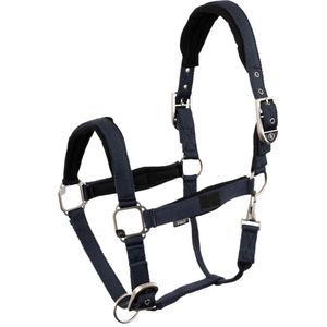 BR Ilse Halter - Big Dipper