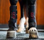 Horseware-TLHLT1-KK00-a.jpg