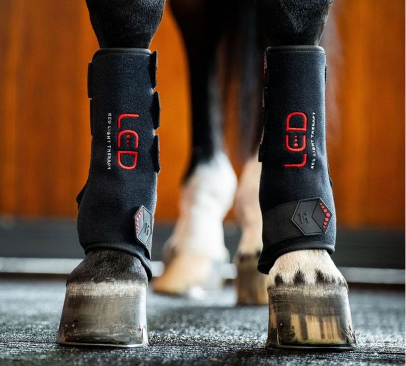Horseware-TLHLT1-KK00-a.jpg