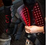 Horseware-TLHLT1-KK00-b.jpg