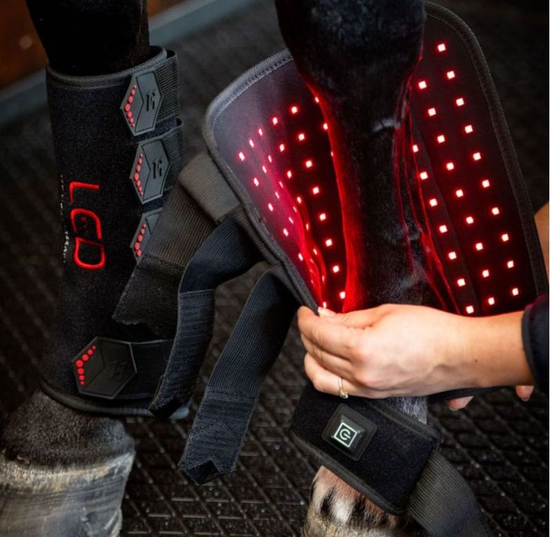 Horseware-TLHLT1-KK00-b.jpg