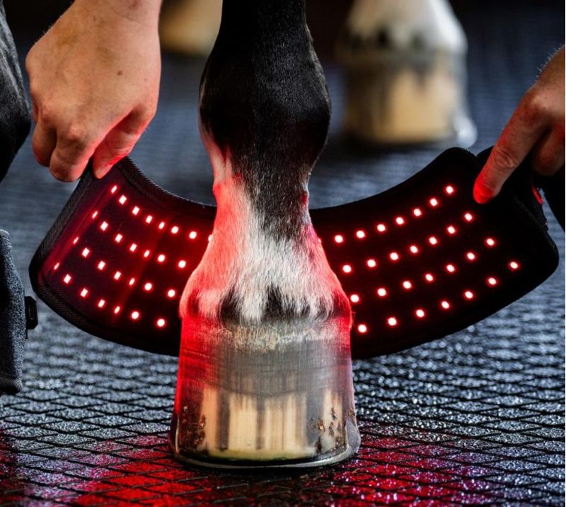 Horseware TLHMT1-KK00 b.jpg