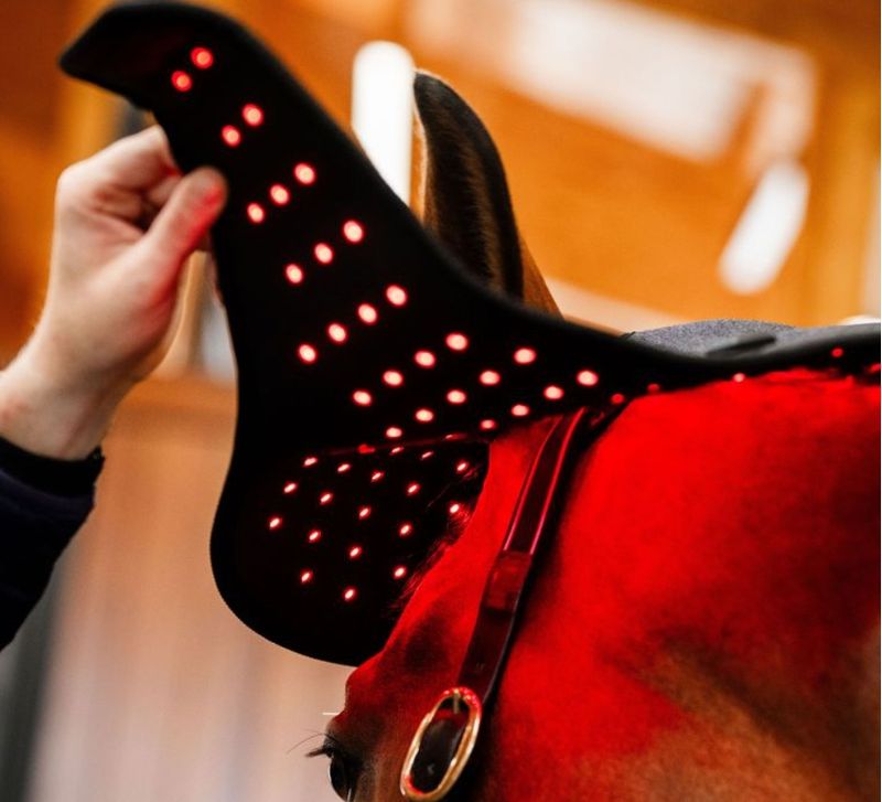 Horseware TLHNT1-KK00 d.jpg