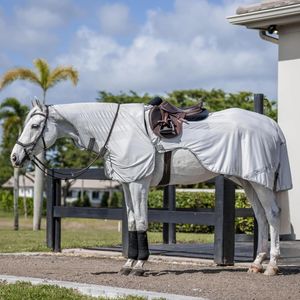 Amigo® Flyrider - Silver