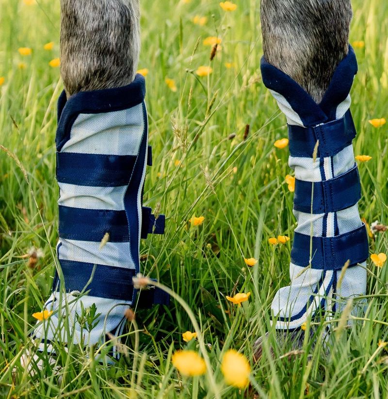 Horseware-DBHF11-VRKB.jpg