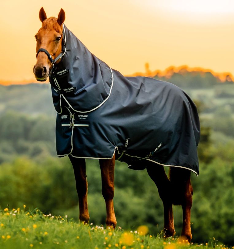 aarpg4-vrkb-amigo-ripstop-900d-plus-turnout-200g-navy-horse-view.jpg