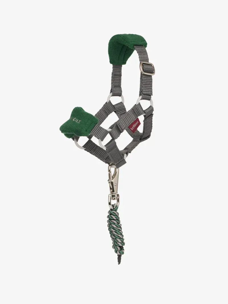 it07576_product_toyvogueheadcollar_hunter-green_1.webp