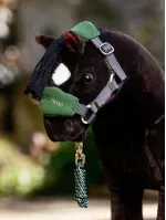 it07576_lifestyle_toyvogueheadcollar_hunter-green_01.webp
