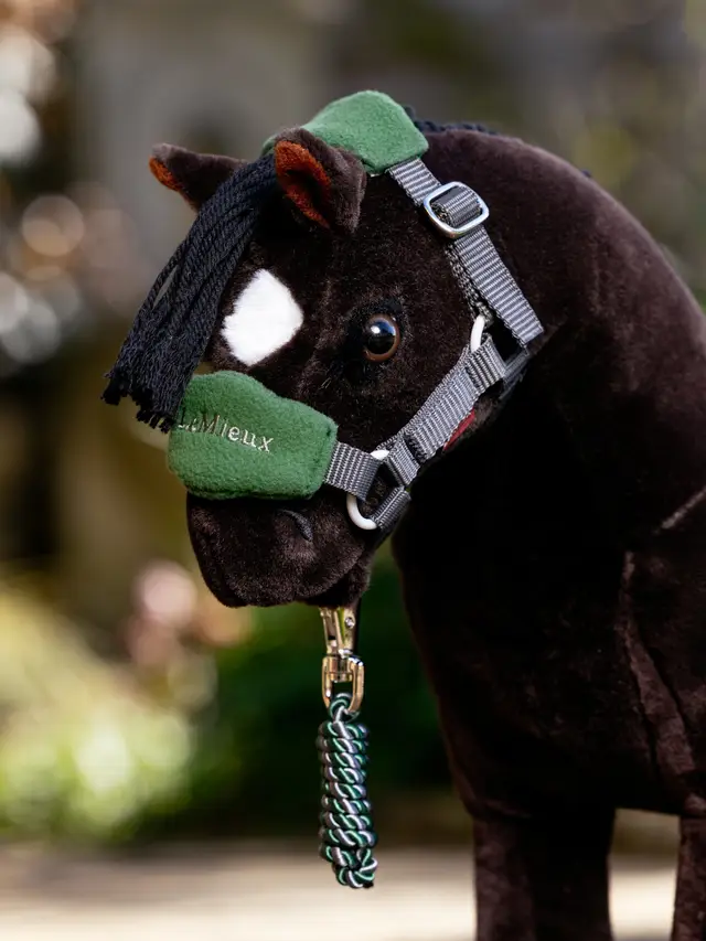 it07576_lifestyle_toyvogueheadcollar_hunter-green_01.webp