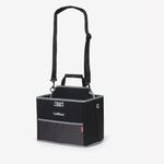 lemieux-collapsible-storage-tote-black