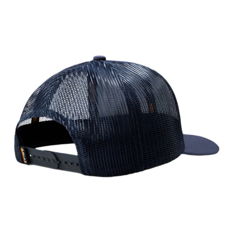 ariat-born-4-this-ball-cap-2