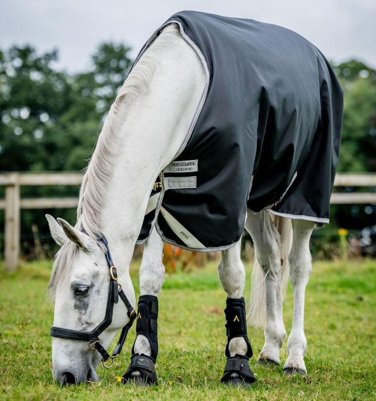 aarak0-kji0-amigo-bravo-12-original-turnout-50g-horse-blanket.jpg