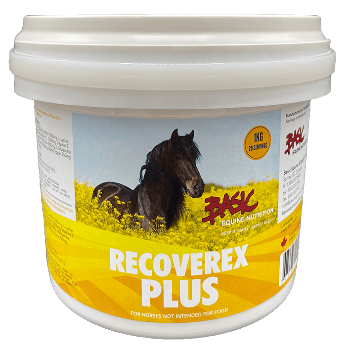 RecoverexPlus_1kg_700.png