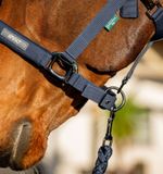 dhrx01-b000-amigo-headcollar-leadrope-set-navy-closeup-2_tmyygzel1tibjtuv.jpg