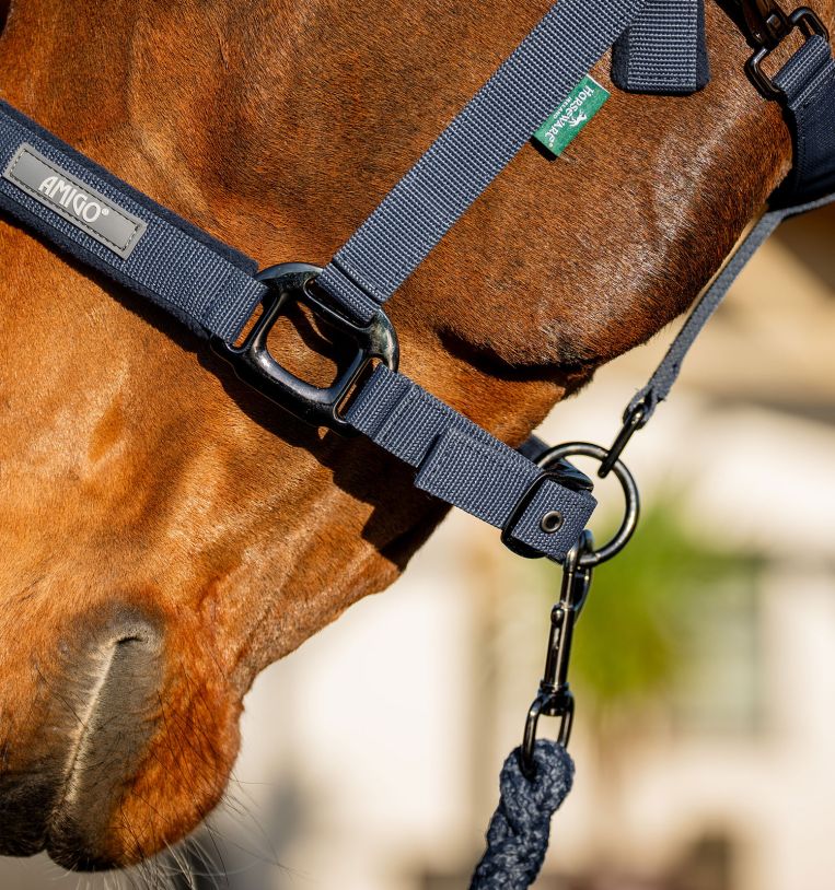 dhrx01-b000-amigo-headcollar-leadrope-set-navy-closeup-2_tmyygzel1tibjtuv.jpg