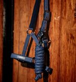 dhrx01-b000-amigo-headcollar-leadrope-set-navy_9jthjenzv1ym7o9c.jpg