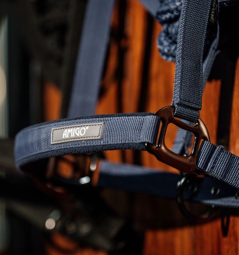 dhrx01-b000-amigo-headcollar-leadrope-set-navy-closeup-3_mm3huhrneixdlpup.jpg