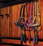 dhrx01-b000-amigo-headcollar-leadrope-set-collection_hx6ugprt74nro5j0.jpg