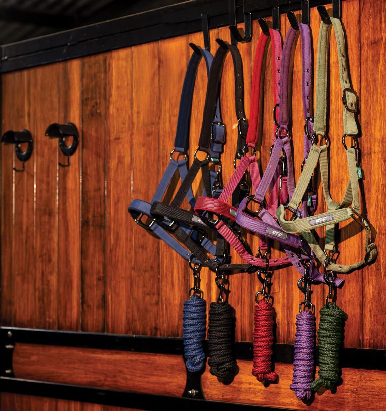 dhrx01-b000-amigo-headcollar-leadrope-set-collection_hx6ugprt74nro5j0.jpg