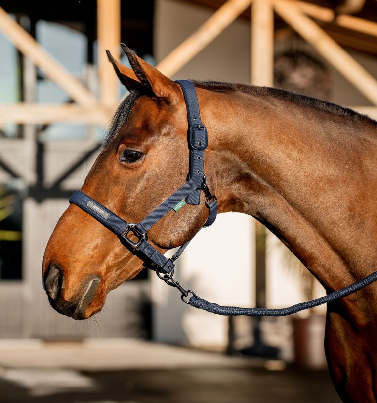 dhrx01-b000-amigo-headcollar-leadrope-set-navy-main_dwemxku1xc1dusxt.jpg