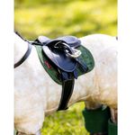 lemieux-toy-pony-pad-hunter-green-2