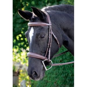 HDR Pro Stress Free Fancy Stitched Bridle