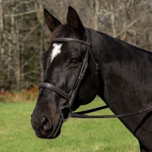 HDR Pro Stress-Free Mono Crown Raised Square Bridle With Reins