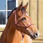 equinavia-rope-halter-red-black-2