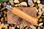 opinel-1693-720x480